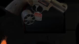 The Taurus 692: Power Refined