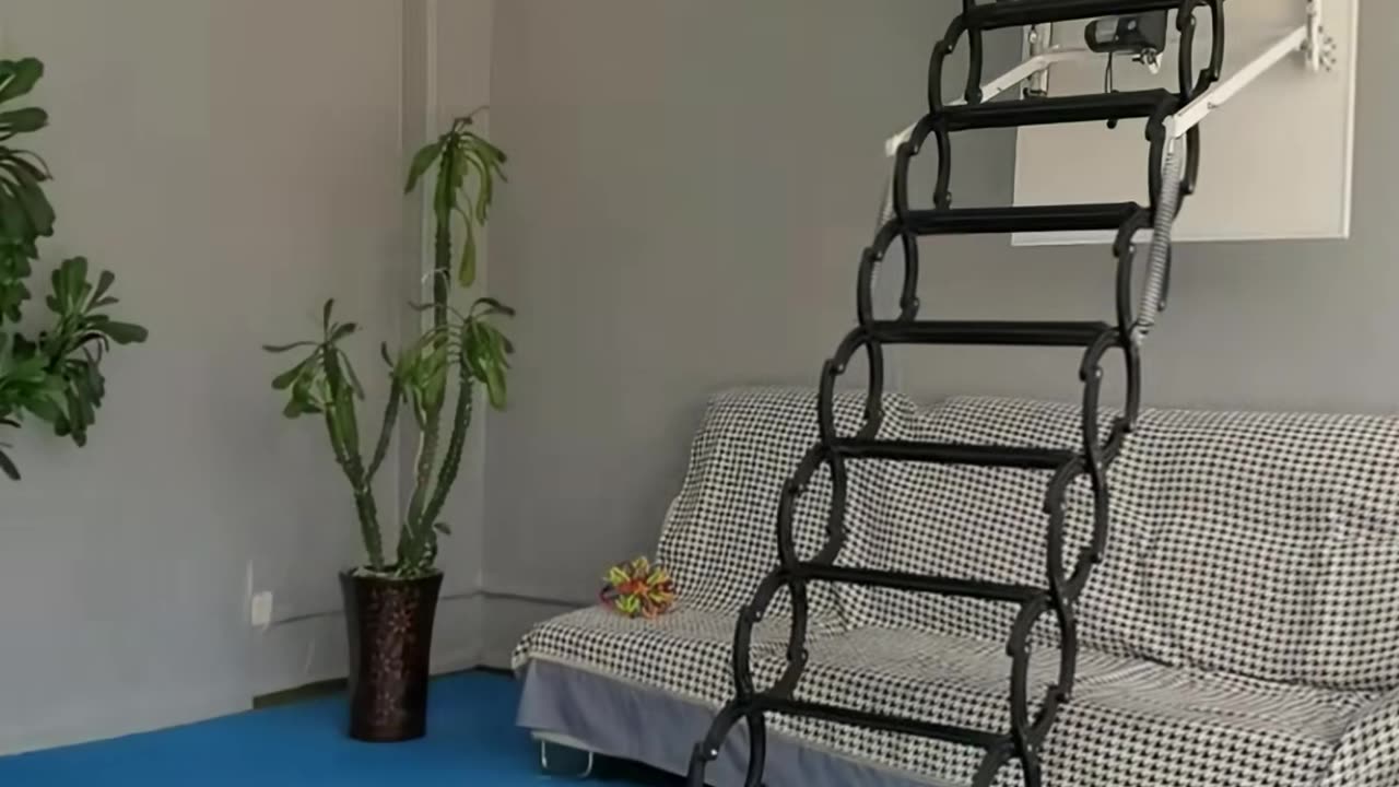 🤯🚿 This Is the Easiest Way to Clean Your Fridge! | LifeHacksDaily