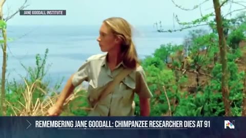 Remembering Jane Goodall for a legacy she forged in the wild