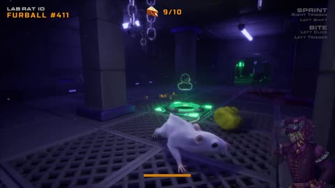 Checking out Cyber Rats