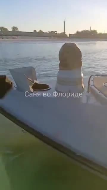 Russians Now Have a Full Ukrainian Sea Drone — Not Damaged, Not Painted 😁