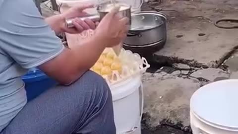 Awareness-The egg you’ve eating might not even come from a chicken-chimecal