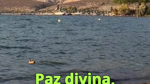😊 42 CLAVE DE PAZ Y MANIFESTACIÓN Isaías 26:3 😊