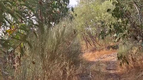 Social atomization, group conformity, and tribalization