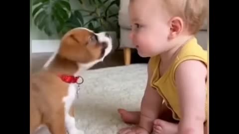 Puppy and baby dailogue...