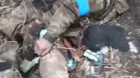 War in ukraine