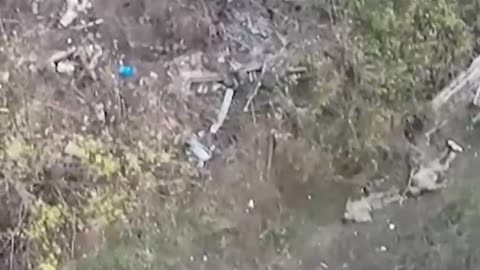 Hundreds of Russian Soldiers(and Counting) Lining the Fields Around Pokrovsk