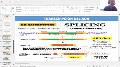 AULA 20 REGULAR 2026 - 1 | Semana 05 | Biología