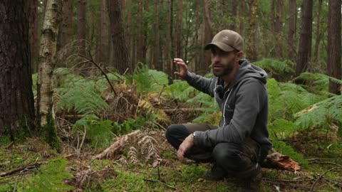 Simple Bushcraft Tips & Skills