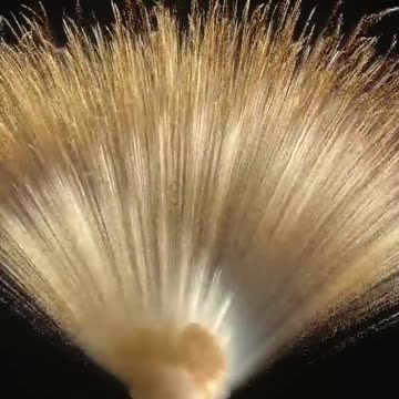 Best Firework Show||Colors in the Sky: Exploring the Cultural Significance of Firework Shows