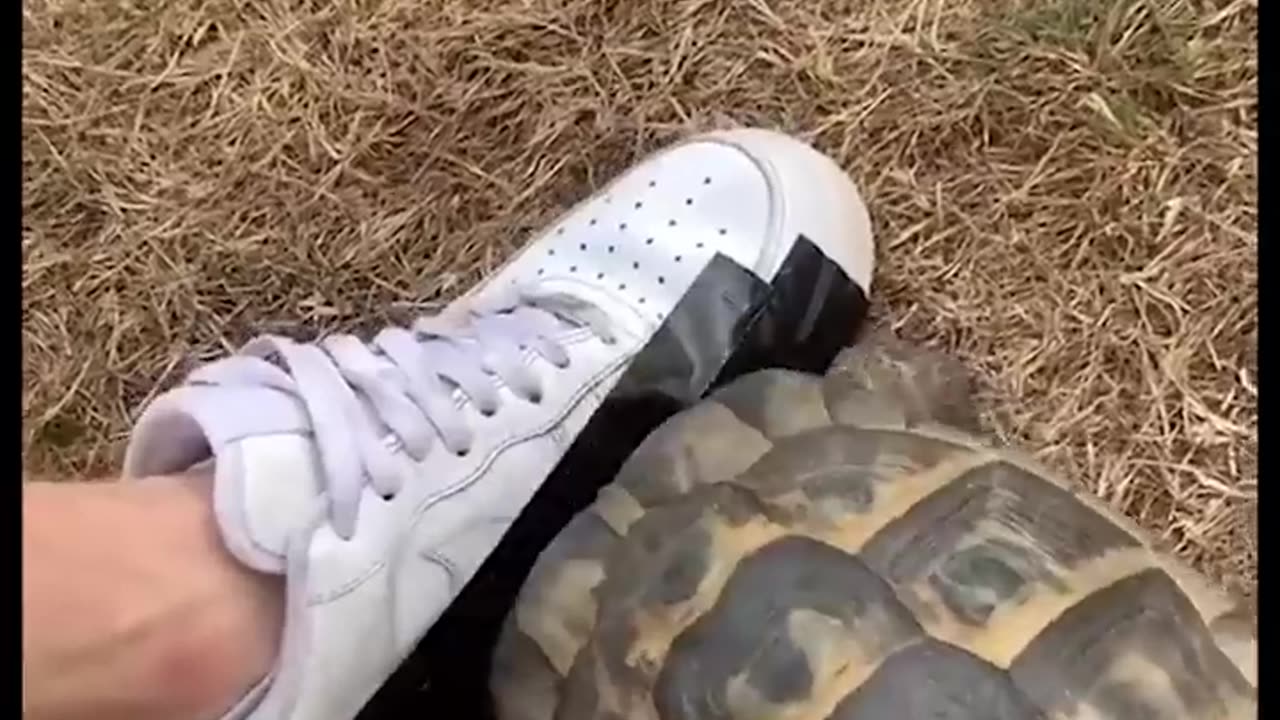 BEST JeffreyX Funny Try Not To Laugh Challenge Compilation 😂 2024 Part 6