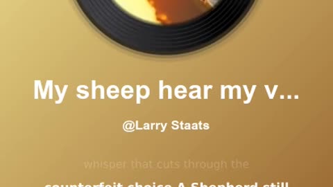 My Sheep Hear My Voice