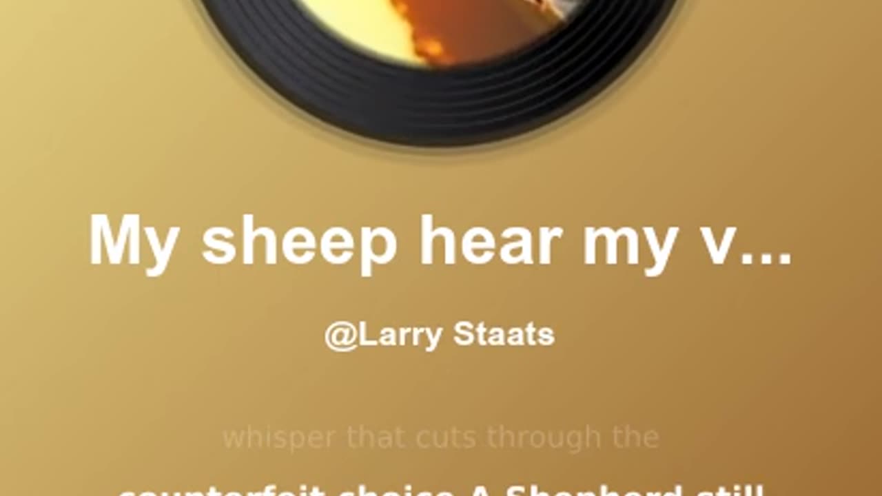 My Sheep Hear My Voice