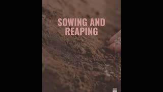 The Biblical Principle of Sowing & Reaping
