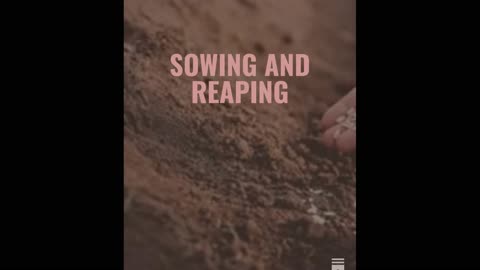 The Biblical Principle of Sowing & Reaping