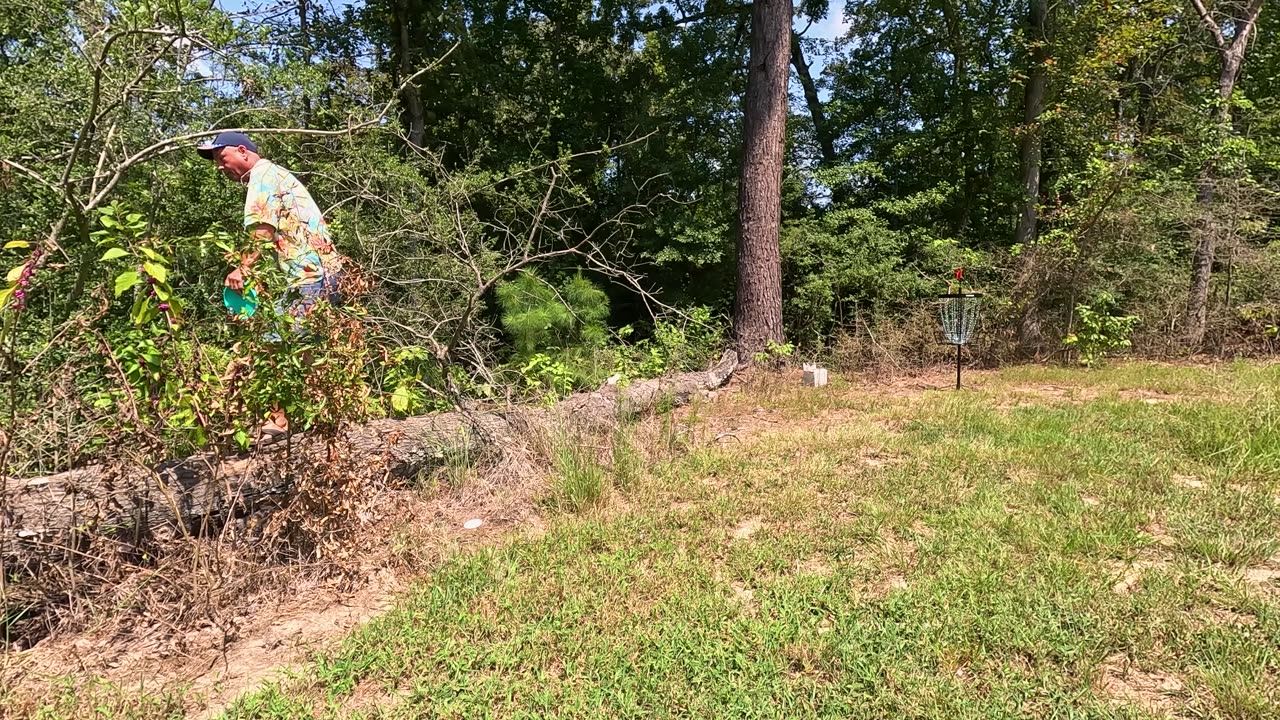 🥏 Play Anywhere | VEVOR Portable Disc Golf Basket