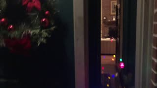 November 29, 2020 - 'Tis the Season to Decorate