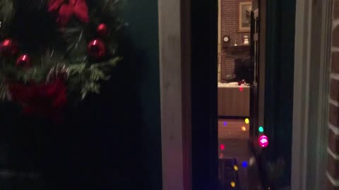 November 29, 2020 - 'Tis the Season to Decorate