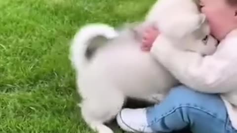 Hilarious puppy is playing with kid 😁😁😁
