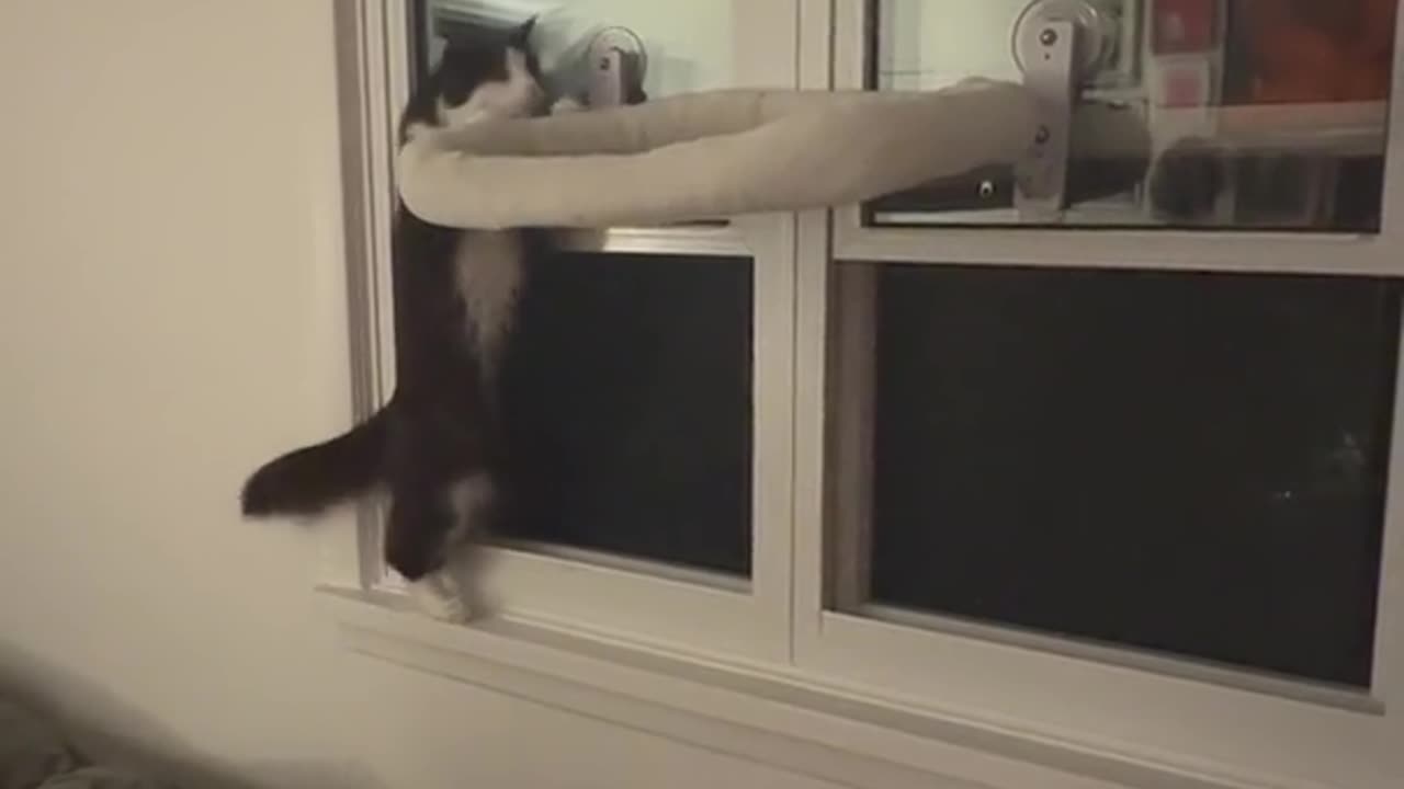 That’s One Way to Close a Window