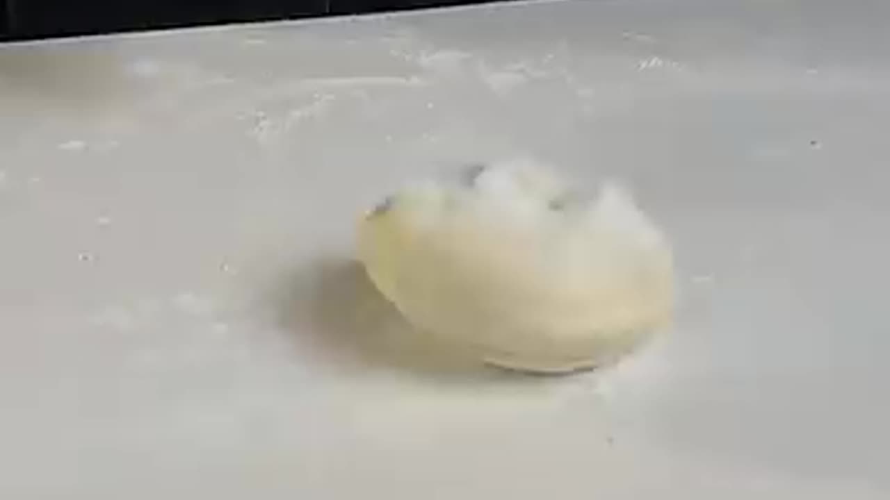 Paneer Roll 🥖
