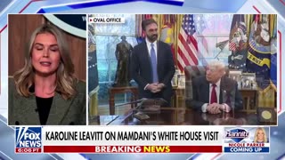 Karoline Leavitt: ICE Operations Will Continue In NYC