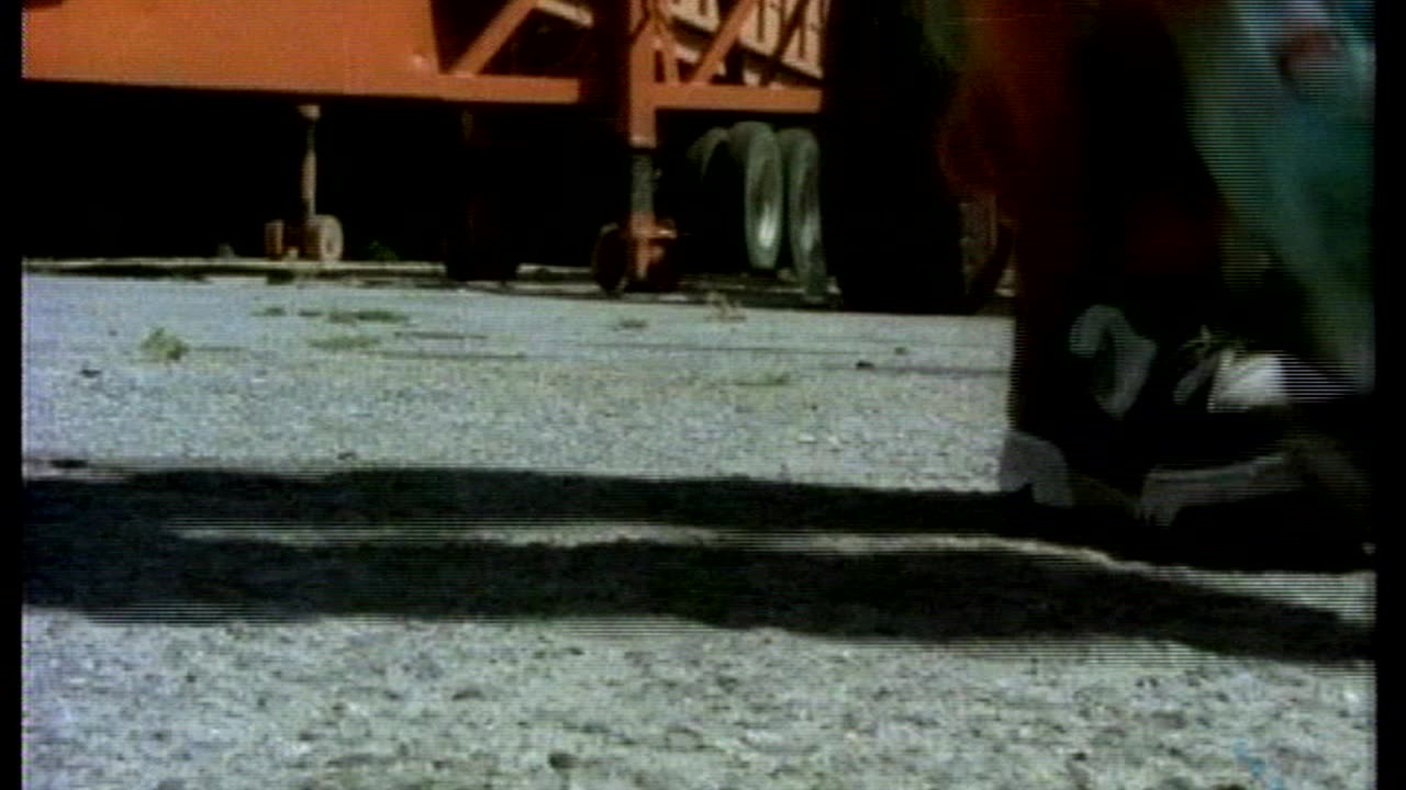 Young MC - Bust A Move 1990