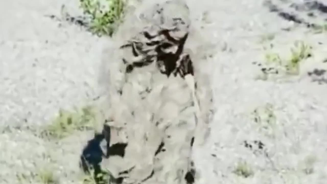 😮🌳 Ghillie Suit Actually Works! | FeedMyCuriosity