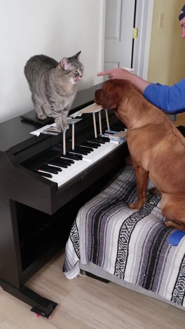 Interesting music collaboration