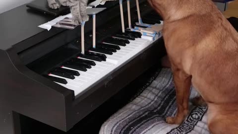 Interesting music collaboration