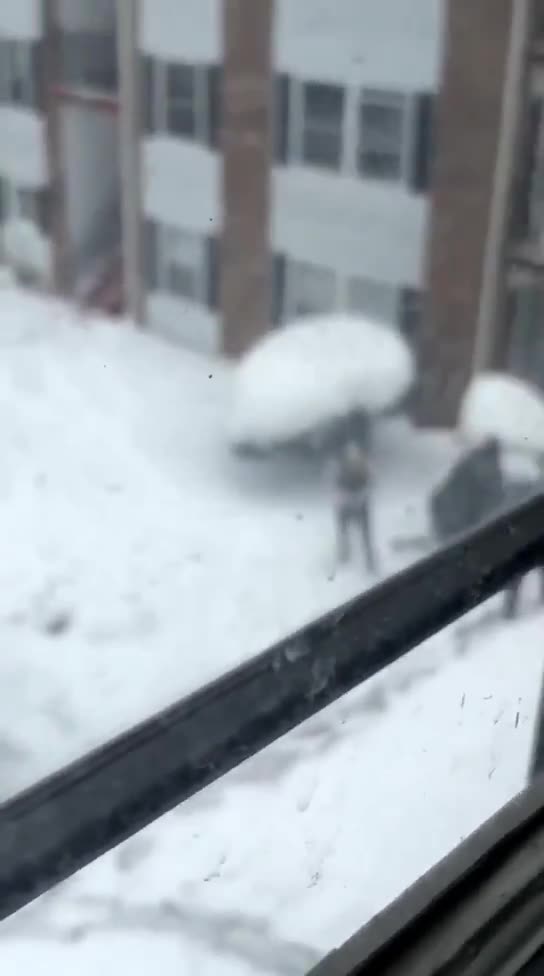 Carpentersville, Illinois: Juan just got ICE-y real quick in the snow.