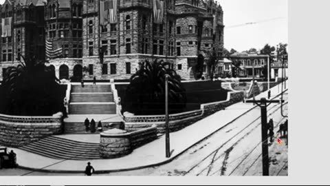 Jon Levi - dear mr president (tartaric survivors)