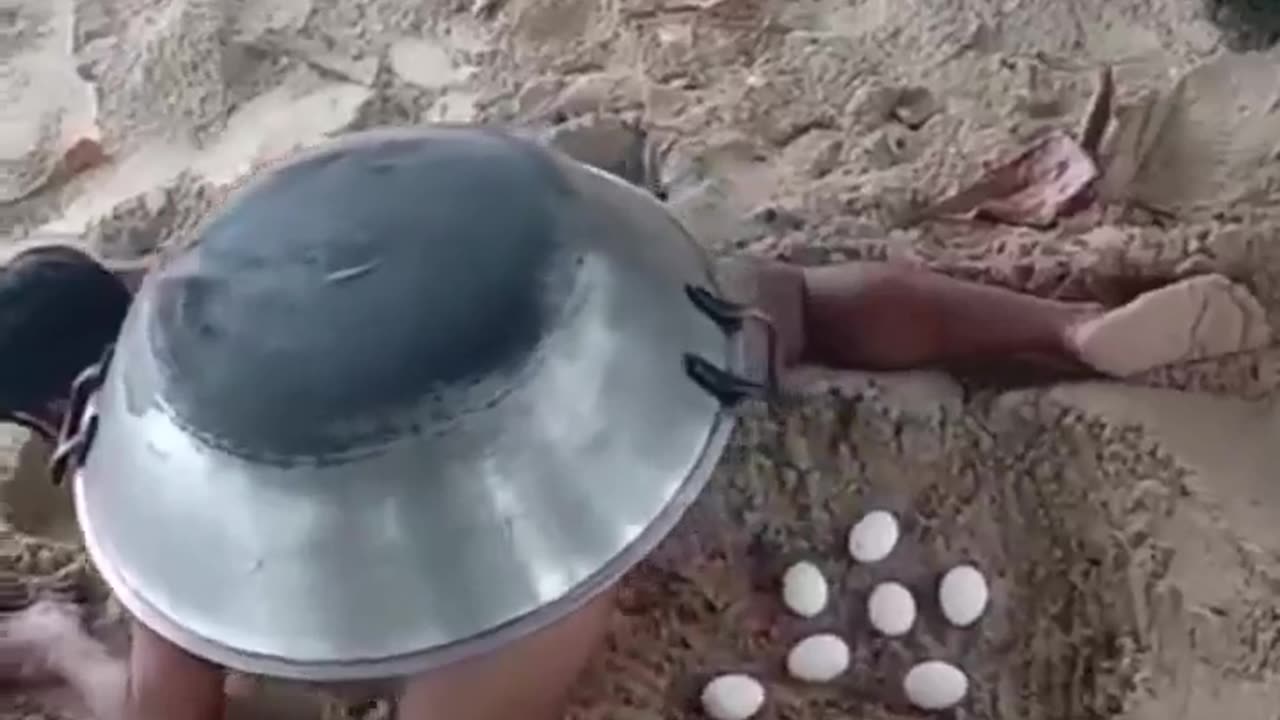🤯🌊 Watch a Turtle Reclaim the Ocean After Laying Eggs! | FeedMyCuriosity