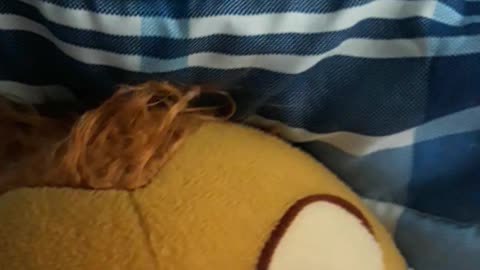 Brittany Miller gets stabbed in the mouth