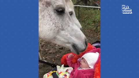 Need a laugh? Pets + Babies = Adorable Fun! 🐶 👶🏼