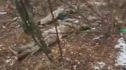 Ukraine war combat/related footage 12/30/25