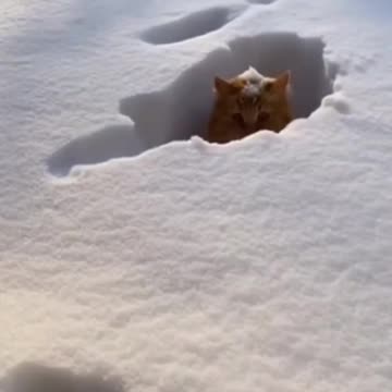 Be aware of your craving because it can be a trap