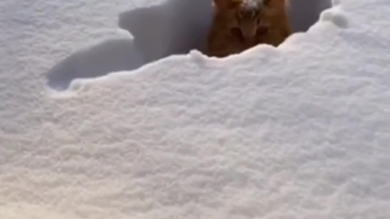 Be aware of your craving because it can be a trap