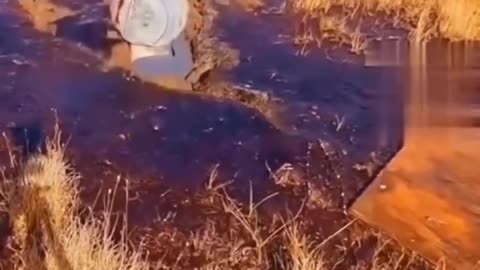 Big Beautiful Snuff Video - Don't Stop Filming Under ANY Circumstances