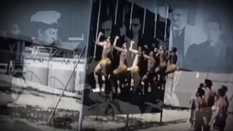 Absolute Health From 11/11/2025 - MTHFR Gene|Tylenol|Big Pharma Capitulation