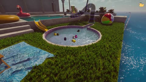 Ducks and chill