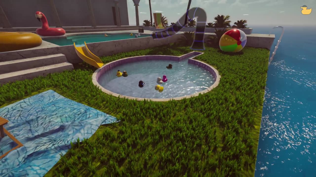 Ducks and chill