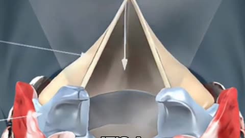 AI Needs Only One Second To Clone Your Voice