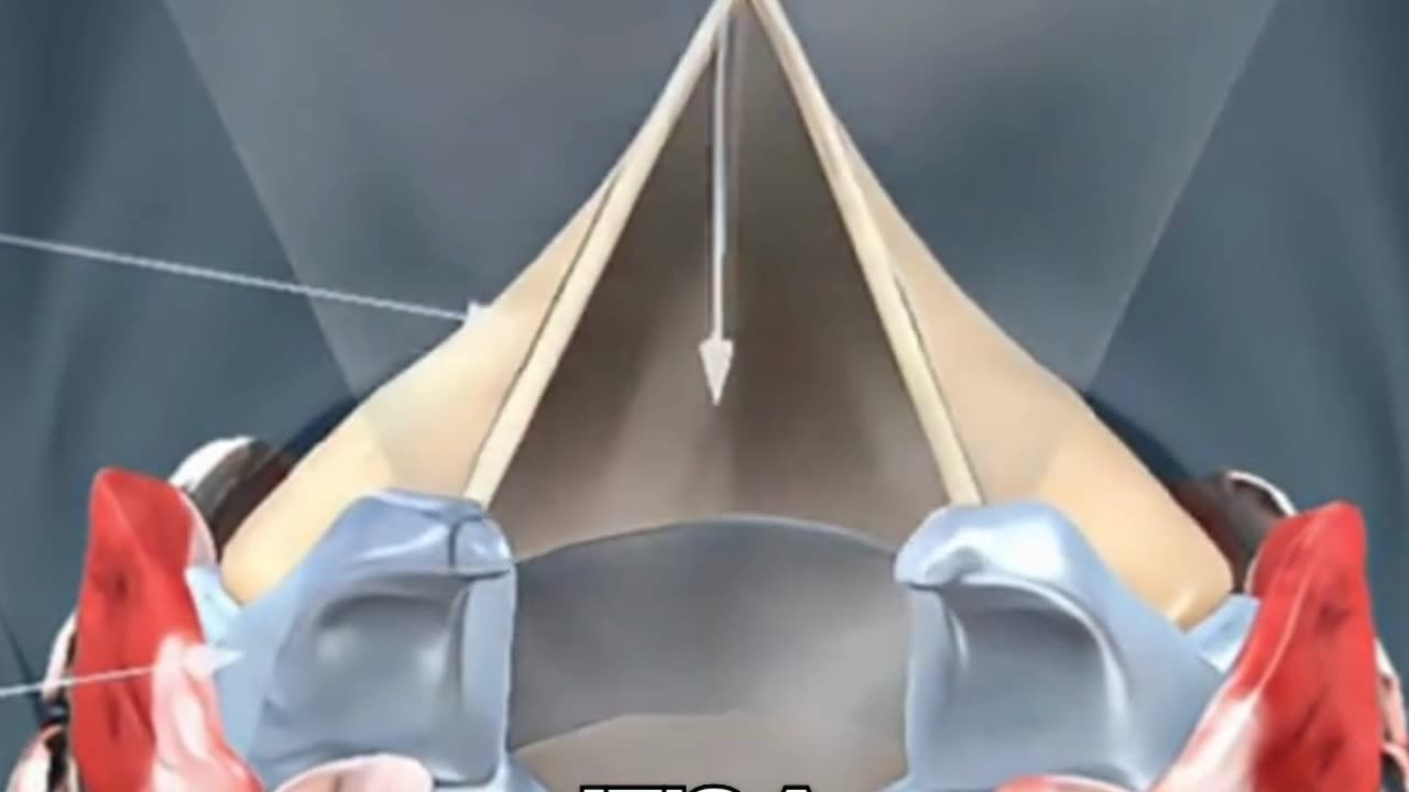 AI Needs Only One Second To Clone Your Voice