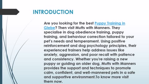 The best Dog Behaviour Training in Glebe