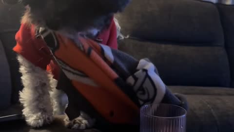 Why’d I Have to Say It?