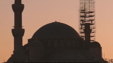 Daily Horoscope | Leo 🌟