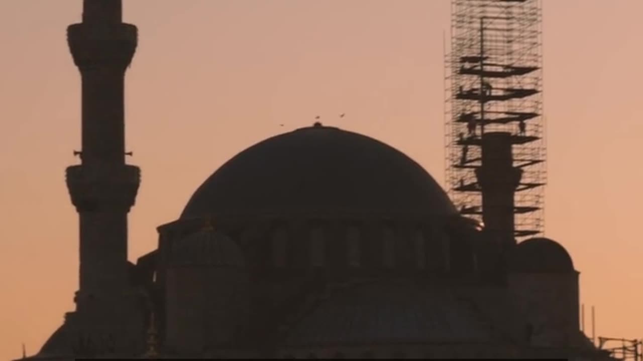 Daily Horoscope | Leo 🌟