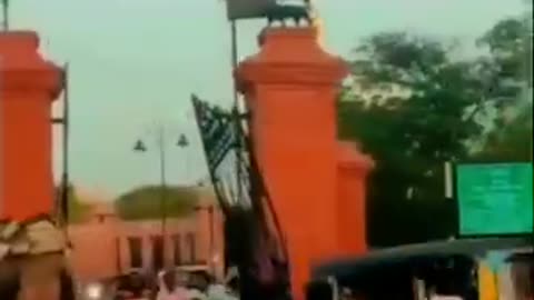 😱🐪 City Chaos! Camel Cart Loses Control & Crashes Into Crowd | Shocking Accident 😨