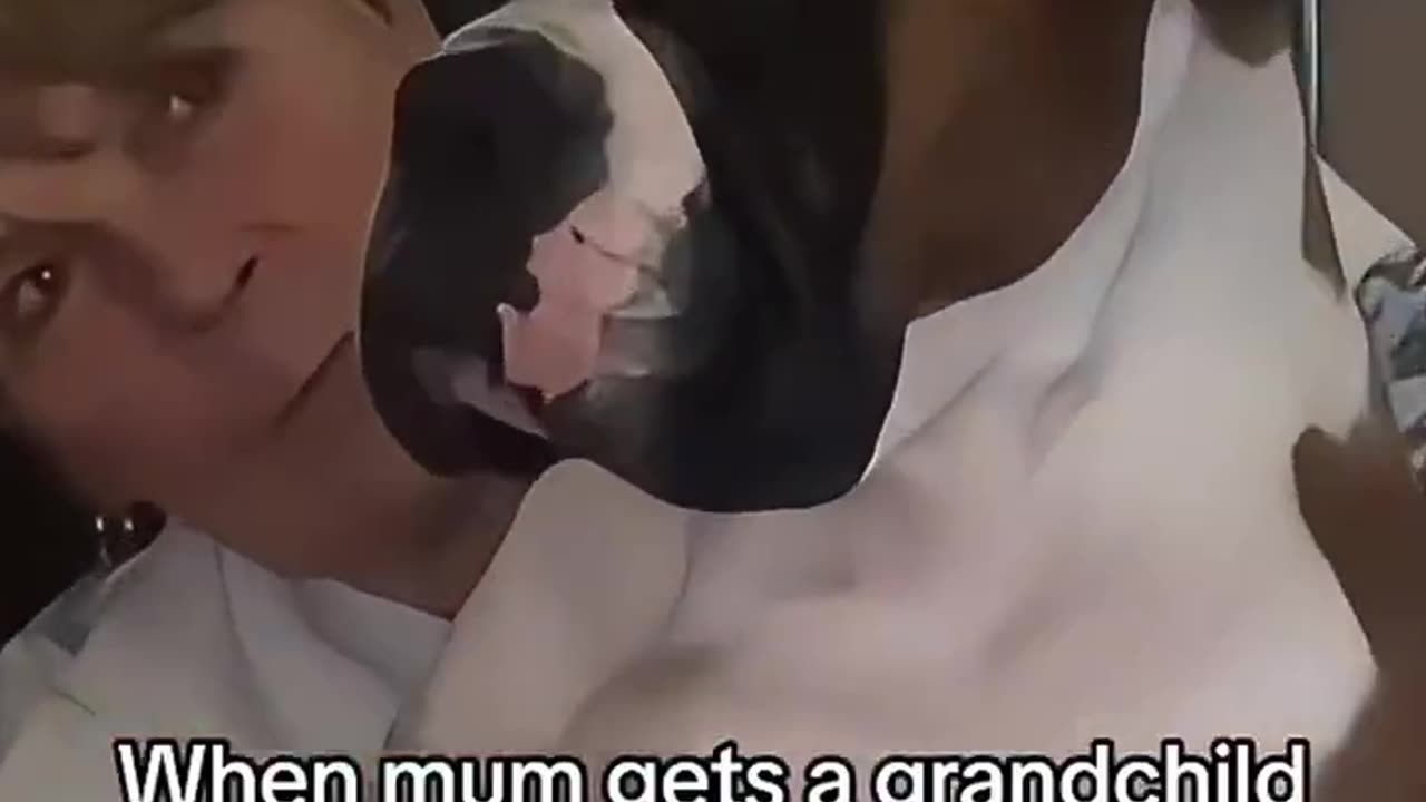 Woe Day 80. I am in the ark. Waiting for GOD to open the Door for a spring/summer Pentecost rapture